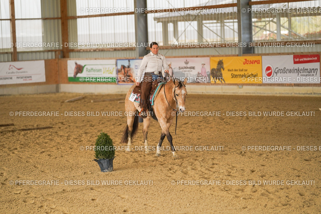 DSC03158 | Pferdegrafie