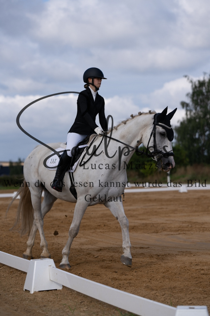 A7V05152 | Pferdefotograf