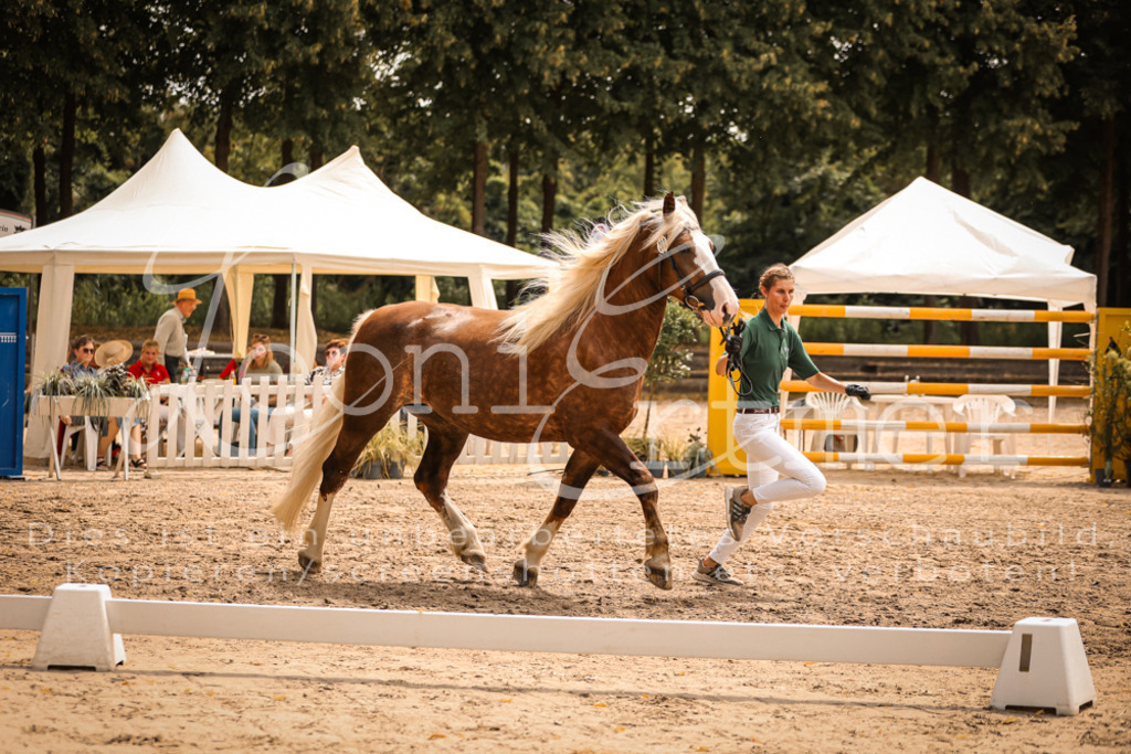 5.Sa00029 | Leoni Ertmer Photography - Realisiert mit Pictrs.com