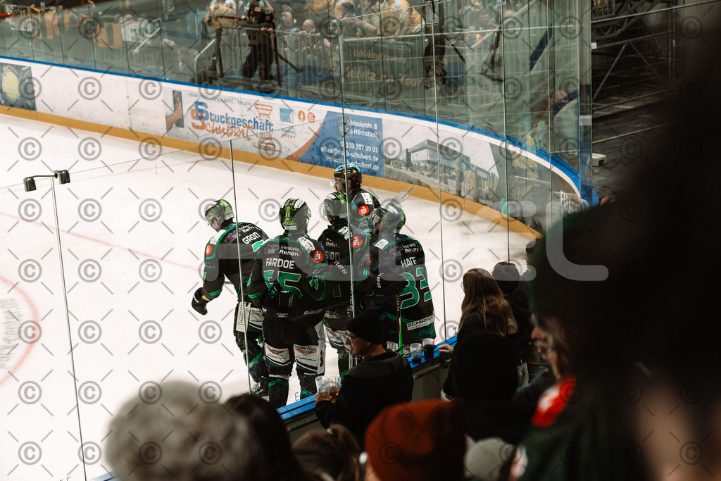 Alligators_vs_Bayreuth_10_2025-72 | Höchstadt Alligators Fotogalerie: Eishockey-Action aus Franken. Professionelle Spielfotos, Portraits & Stadionbilder zum Download. Jetzt entdecken! - Realisiert mit Pictrs.com