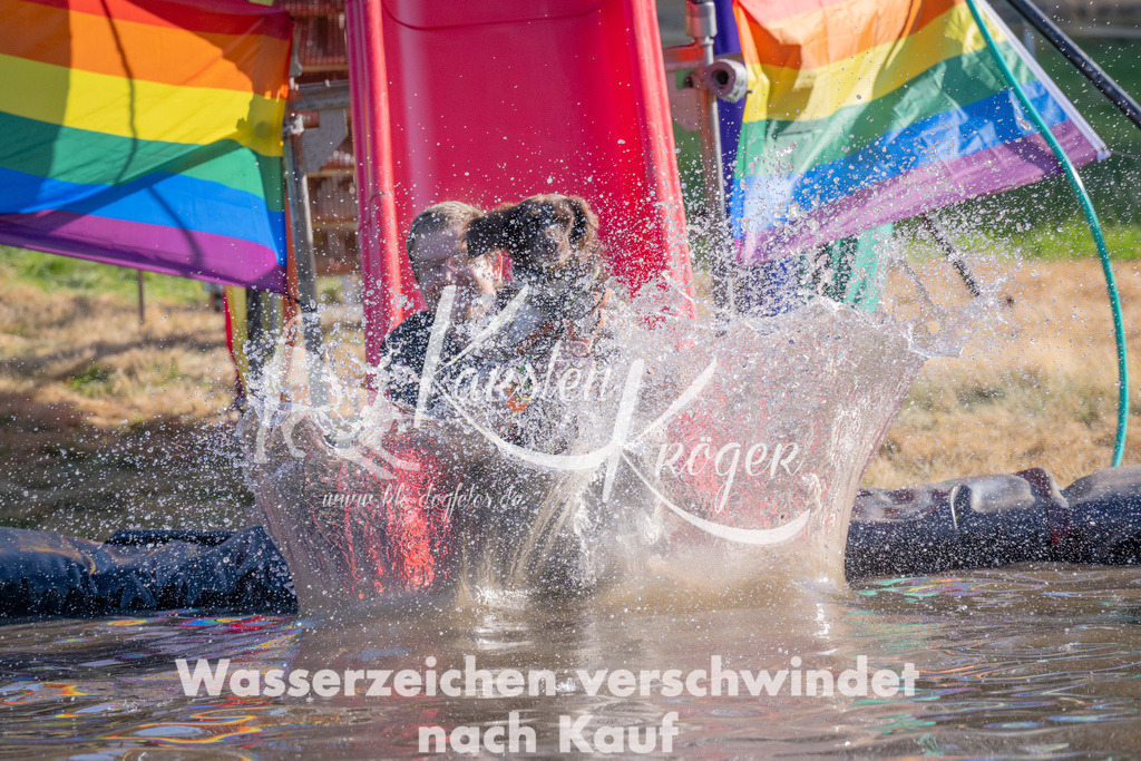 1710_ZZ93614 | kk-dogfotos