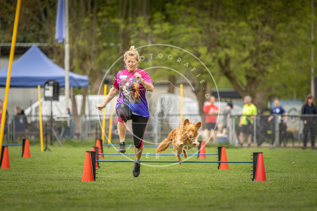 Pfotenfotografie_DV3A8456 | Hundefotografie, Tierfotograf, Pfotenfotografie, Fotoshooting Hund, Hunde Portrait, Hundesport, Hundeportraits, Heideshooting, Hunde, Sportfotograf, Hundefotograf, Turnierhundsport, THS,  - Realisiert mit Pictrs.com