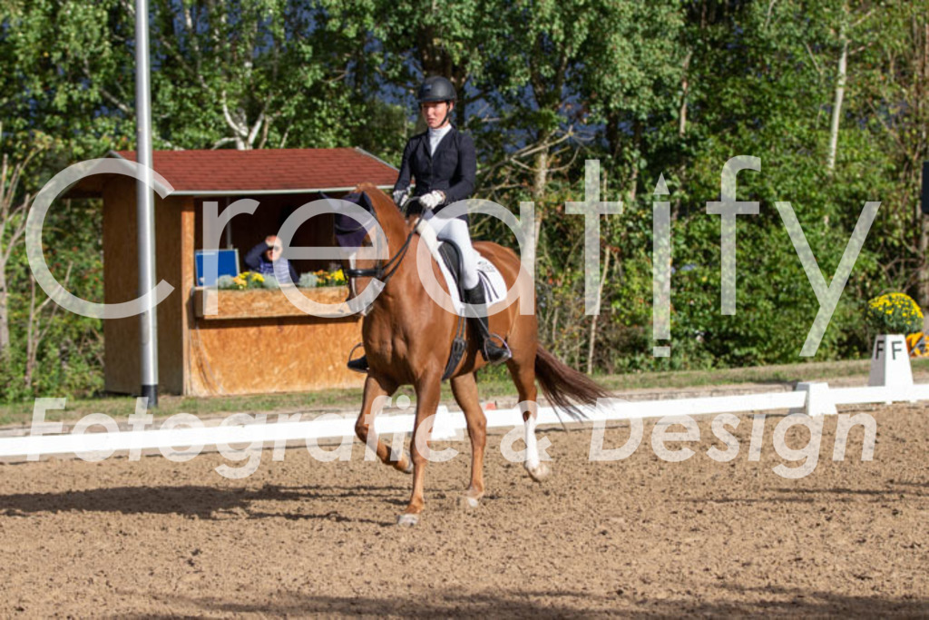 IMG_5932 | Creatify Fotografie