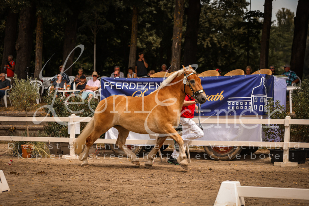 4.Sa00009 | Leoni Ertmer Photography - Realisiert mit Pictrs.com