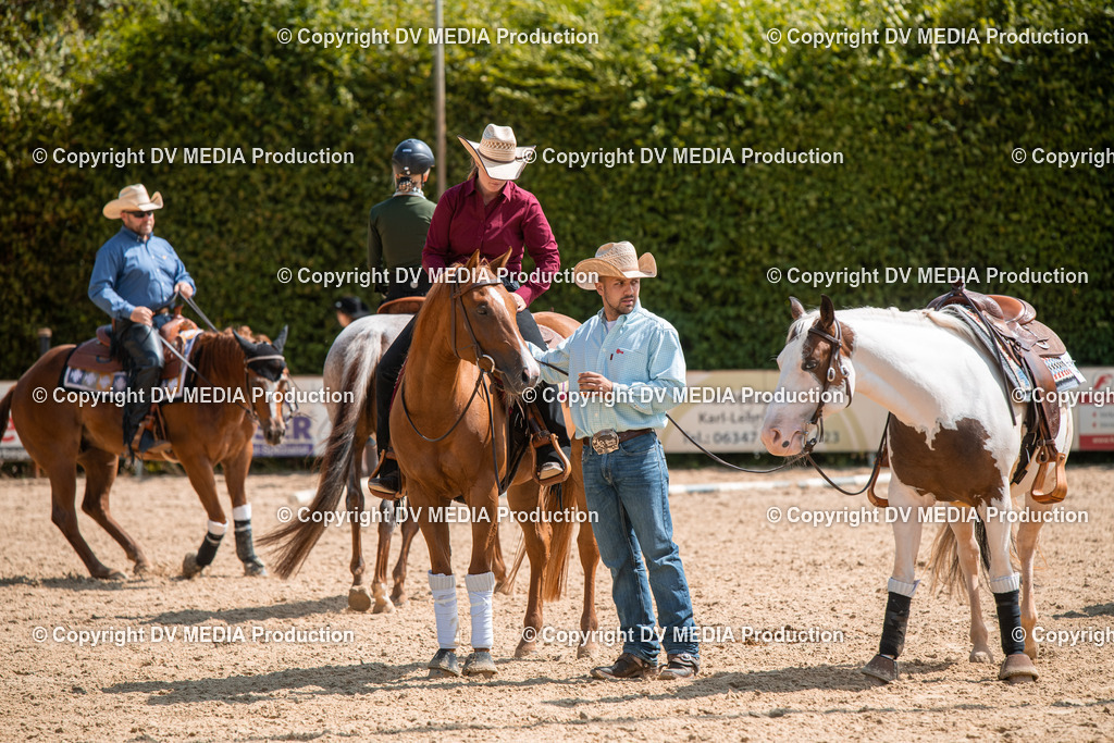 ZS3_9537 | dv-media-shop - Realisiert mit Pictrs.com