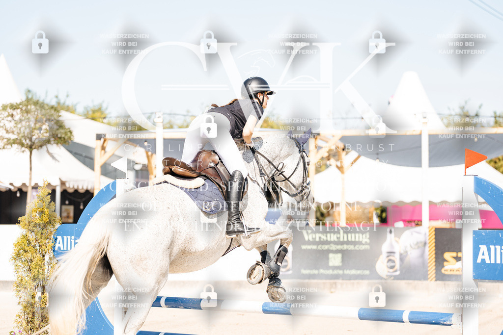 CK905104 | Turnierfotografie Pferdefotografie Trier Rheinland-Pfalz Pferdesport Reitsport Tierfotografie Sportfotografie Pferdevideo Pferdevideografie Equestrianvideography equestrianphotography  - Realisiert mit Pictrs.com