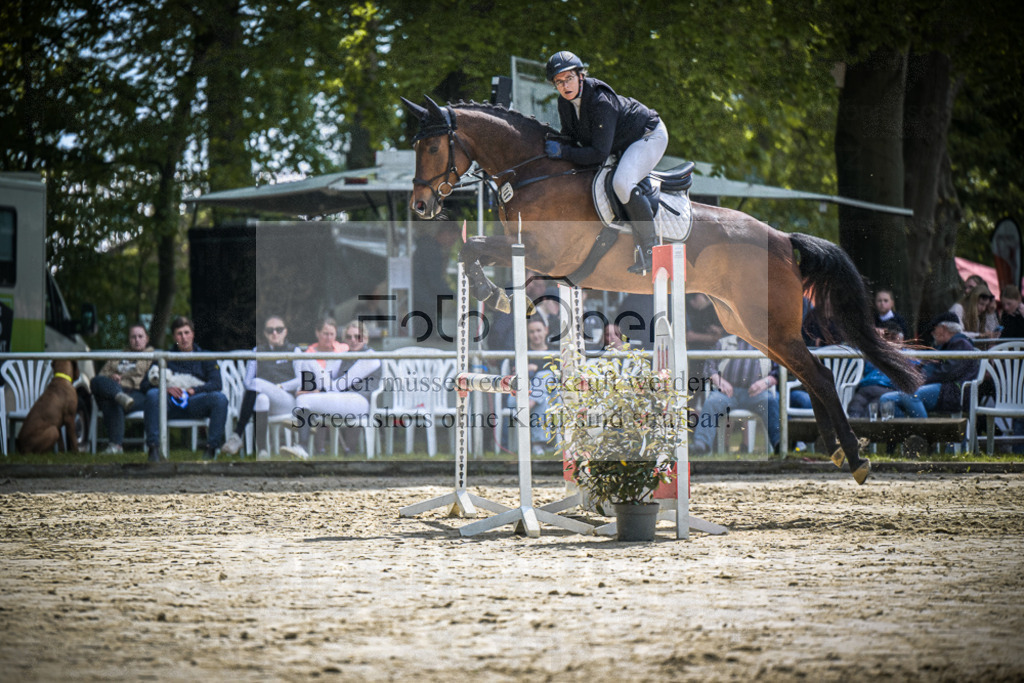 DOS_9858 | Entdecke hochwertige Reitturnierfotos von Foto Oger. Professionell, emotional und authentisch – jetzt Lieblingsmomente im Shop bestellen.Deutschlandweite Turnierfotografie. - Realisiert mit Pictrs.com