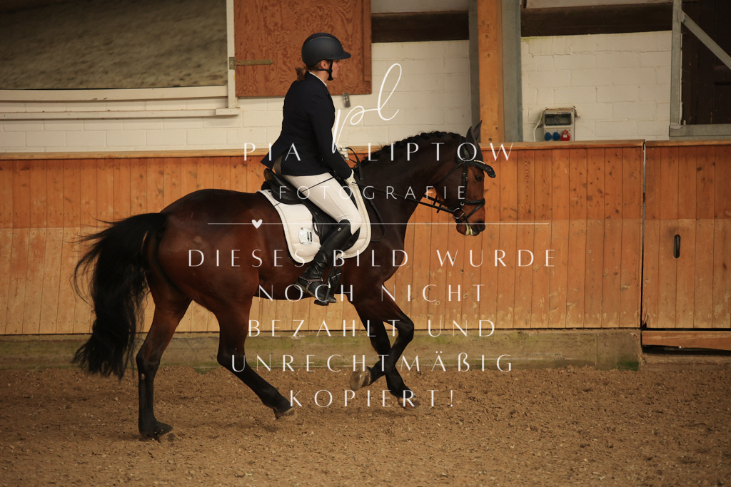 IMGT4365 | pl-fotografie