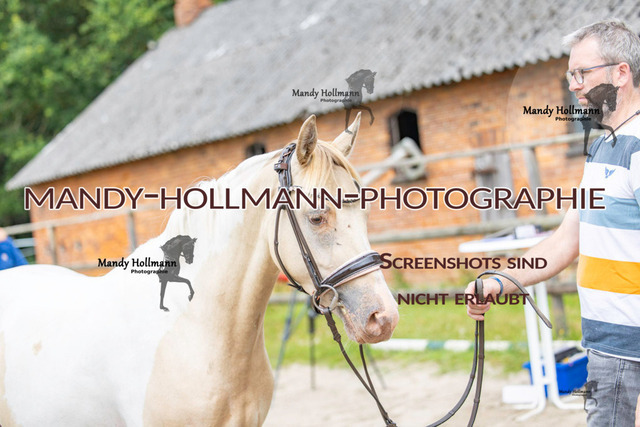 Hexenberg-359 | mandyhollmannphotographie