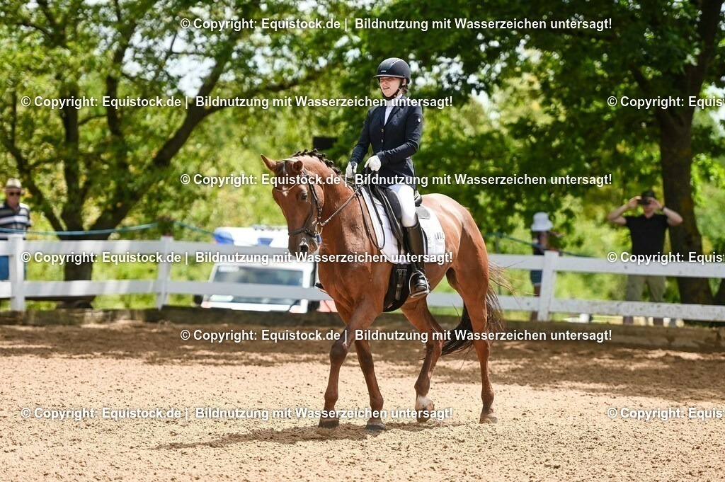 20230716_03_Dressurprfg. Kl.L - Tr._0412 | equistock