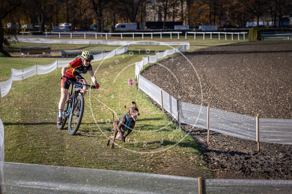 CaniXpix_DV3A6399 | Hundefotografie, Tierfotograf, Pfotenfotografie, Fotoshooting Hund, Hunde Portrait, Hundesport, Hundeportraits, Heideshooting, Hunde, Sportfotograf, Hundefotograf, Turnierhundsport, THS,  - Realisiert mit Pictrs.com