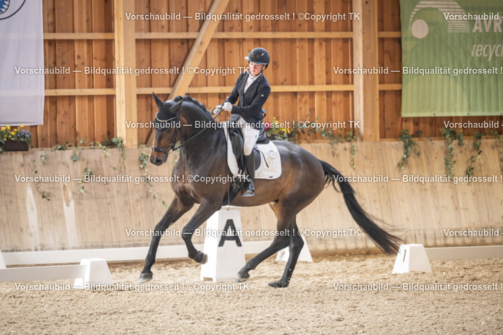 _D5A8324 | Emotionale Pferde- & People-Fotografie rund um Heidelberg, Leimen & Umgebung. Natürliche Fotos von Pferd, Mensch & Familie. Jetzt Termin sichern!