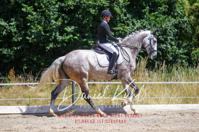 DKP46305 | Turniersportfotografie; Pferdefotografie; Dressurfotografie