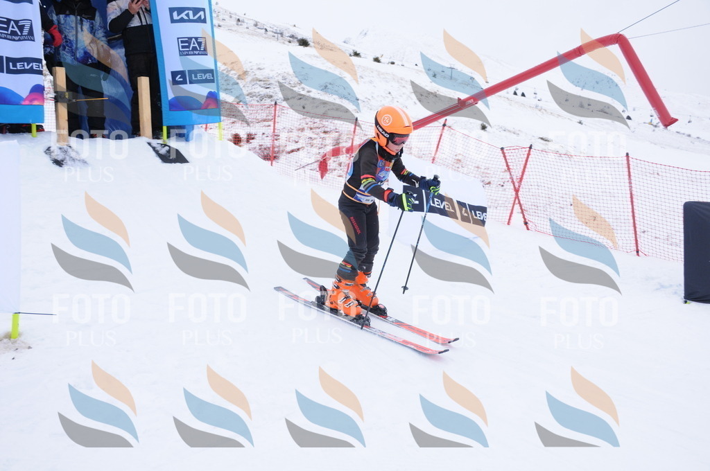 DSC_8511 | holidayphoto