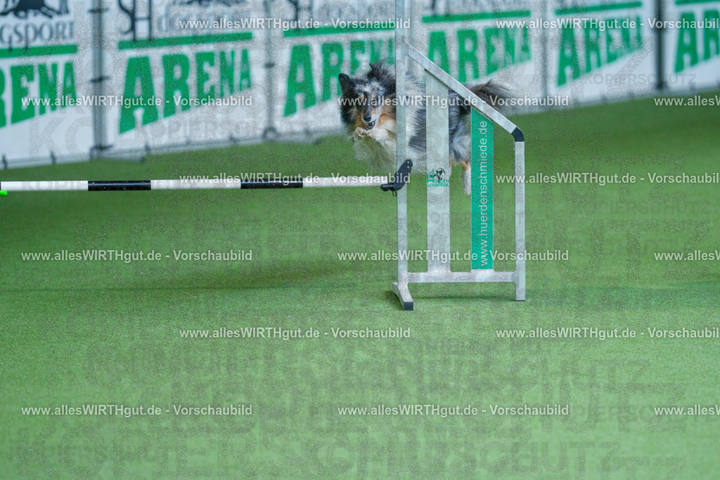 @allesWIRTHgut_Tierfotografie - www.allesWIRTHgut.de - 2604261338-7R502322 | Professionelle Tierfotografie in Mönchengladbach von Daniel Wirth (allesWIRTHgut). Liebevolle & natürliche Bilder von Hunden & Katzen für unvergessliche Erinnerungen.