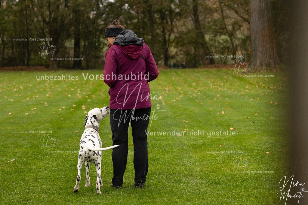 _16A0511 | Einzigartige Fotos von Hunden & Menschen –Actionfotos, Portraits, Vereinsaufnahmen & Paarshootings – authentisch, lebendig & mit Herz.