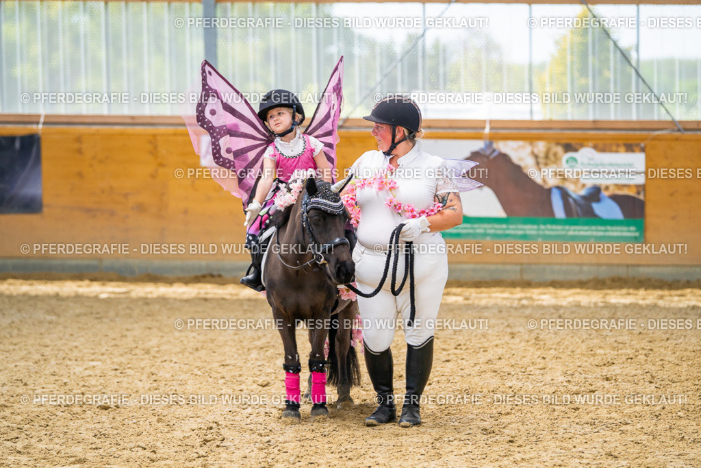 DSC00223 | Pferdegrafie