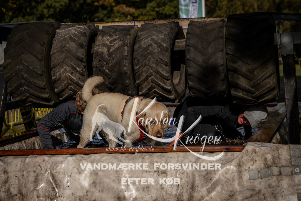 1317_ZZ92323 | kk-dogfotos