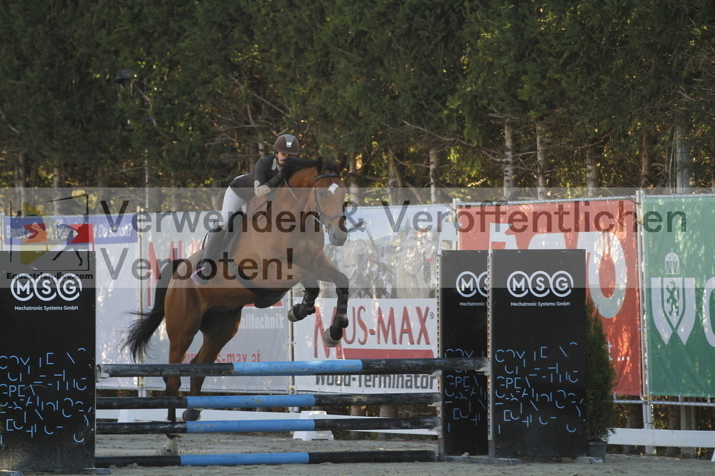 _MG_1131 | equestrian-live-com