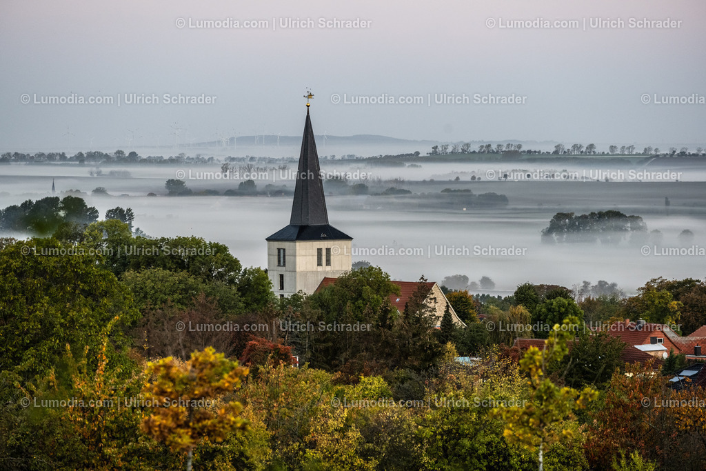 10049-12666 - Eilenstedt am Huy | Stockfoto und Bilderpool mit Bildmaterial aus Deutschland, dem Harz, Halberstadt, Quedlinburg, Wernigerode und weltweit. Qualitativ hochwertige und professionelle Fotos anschauen und kaufen. - Realisiert mit Pictrs.com