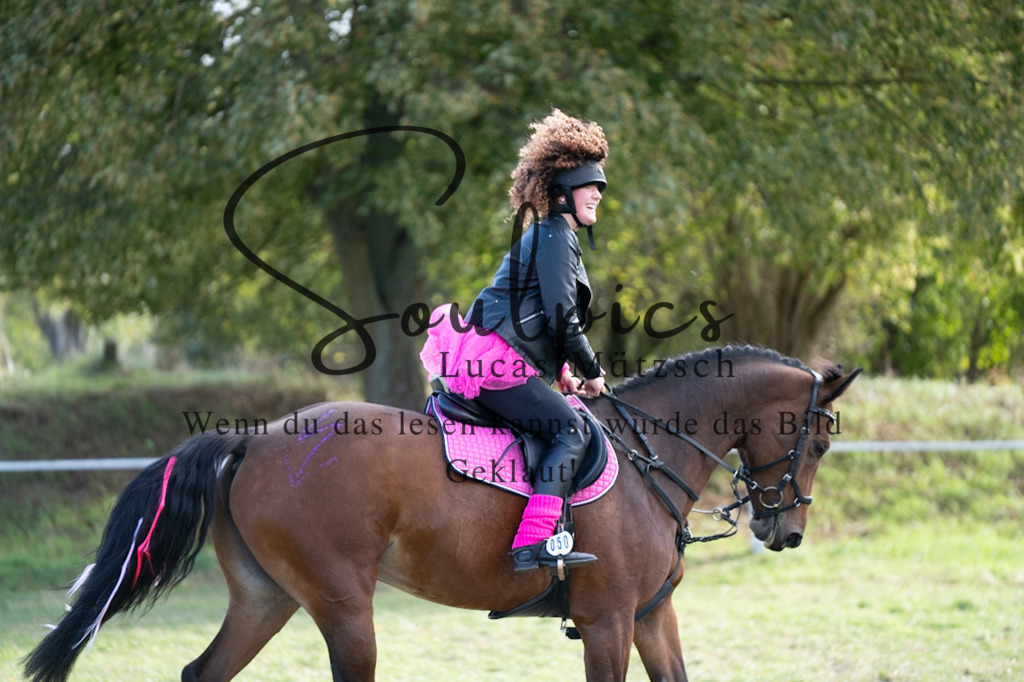 A7V06541 | Pferdefotograf