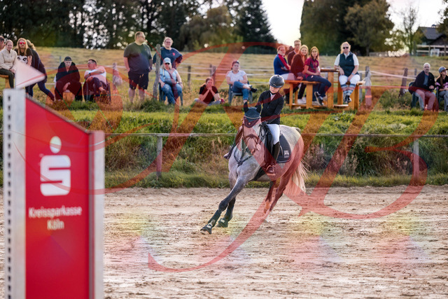 2026_10_03_Siefer-Hof_145137_Z81_30725149 | Professionelle Reitsport-, Turnier- und Eventfotografie von Robert Broda. Galerien mit ausgewählten und bearbeiteten Bildern direkt online ansehen und bestellen.