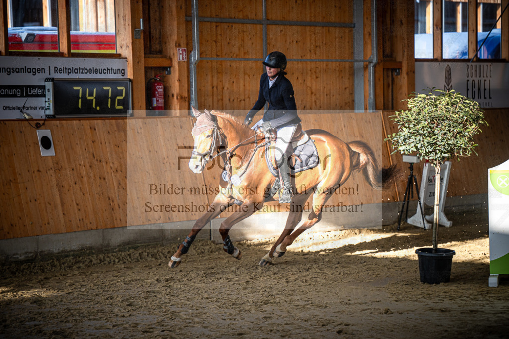 DOS_0586 | Entdecke hochwertige Reitturnierfotos von Foto Oger. Professionell, emotional und authentisch – jetzt Lieblingsmomente im Shop bestellen.Deutschlandweite Turnierfotografie. - Realisiert mit Pictrs.com