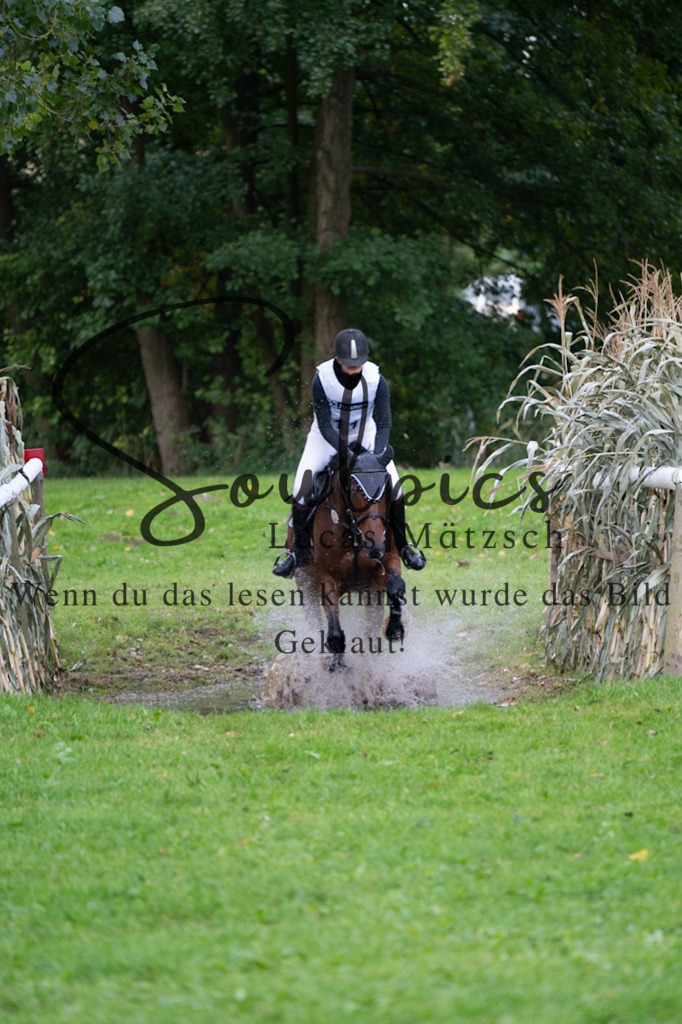 A7V02947 | Turnier/Reitfotograf