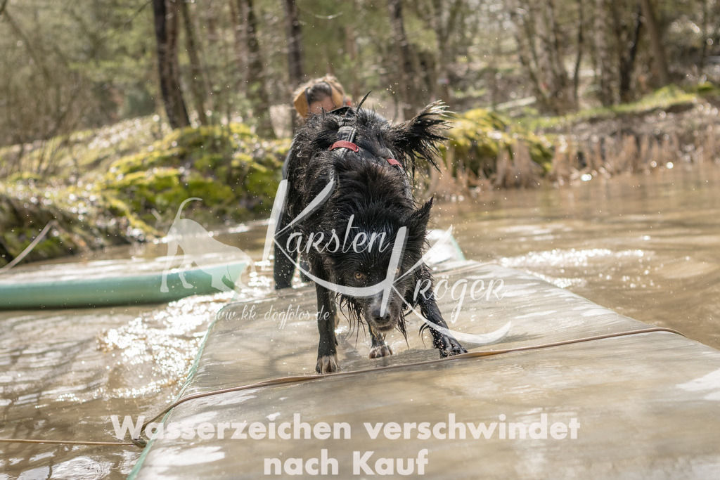 1354_ZZ90947 | kk-dogfotos