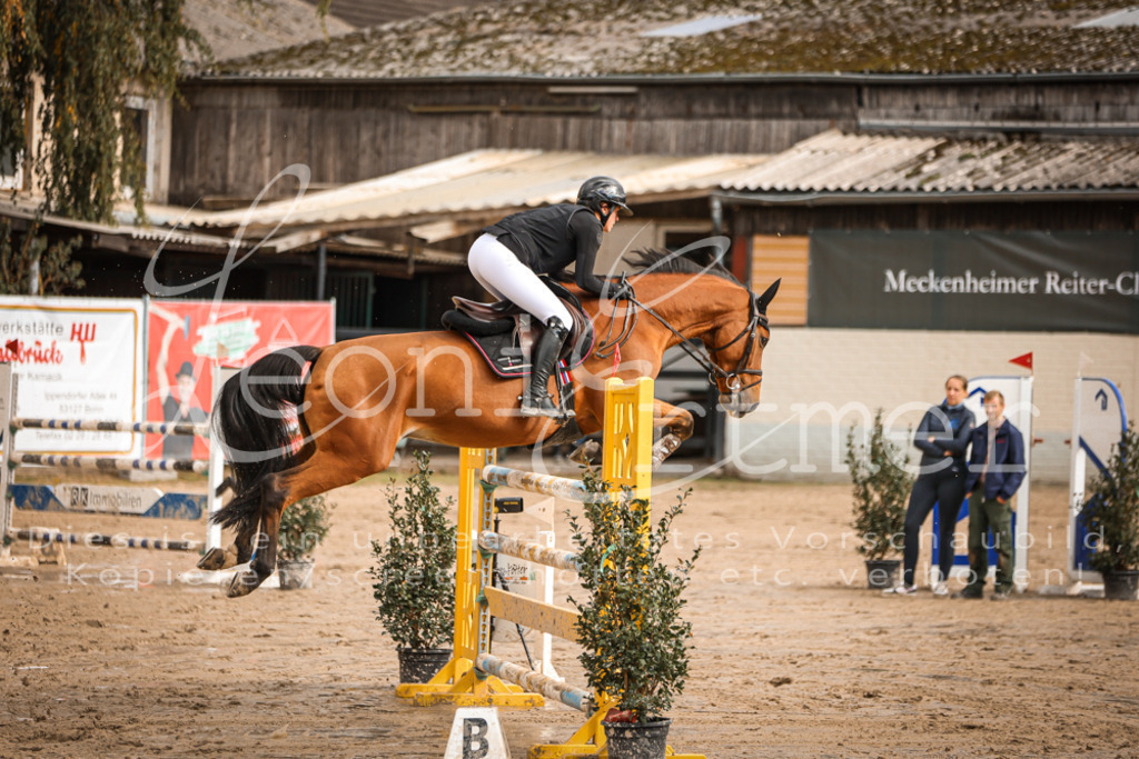 12.SaSpM00364 | Leoni Ertmer Photography - Realisiert mit Pictrs.com