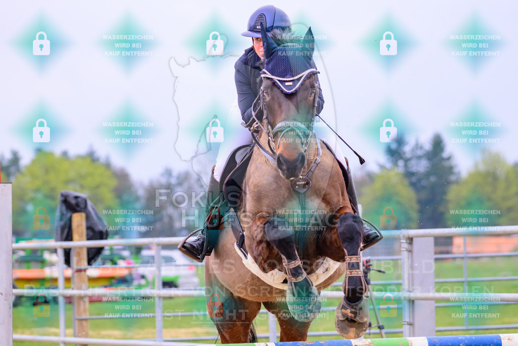 10042026-Mammendorf-Prfg17-0633 | Fokus Hufschlag Fotografie - Realisiert mit Pictrs.com