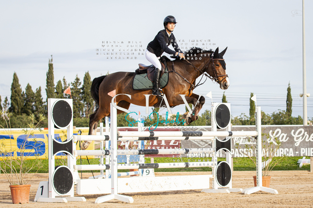 IMG_0563 | s-jay-photography - Realisiert mit Pictrs.com