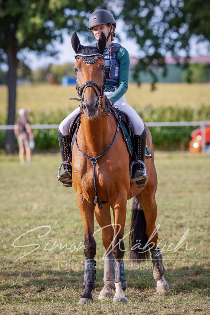 20250905-_3LI2374 | Tierfotografie Pferde, Hunde, Katzen, Haustiere.
Turnierfotografie Reitturniere, Reiten, Springreiten, Dressur in Hanau, dem Main-Kinzig-Kreis und dem Rhein-Main- Gebiet um Frankfurt