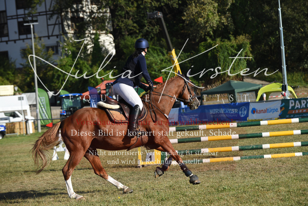 DSC_5160 | Pferde- und Turnierfotografie in Westsachsen. Pferdeportraits, Auftragszeichnungen und intuitive Kunst.