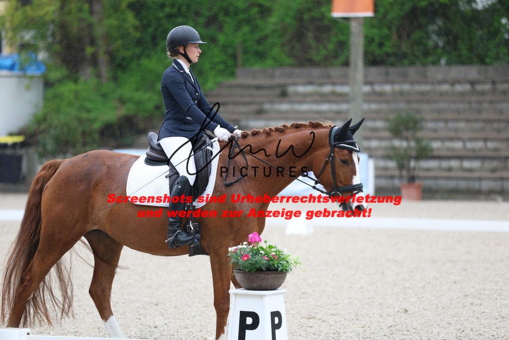 A40A7166 | lmwpictures - Realisiert mit Pictrs.com