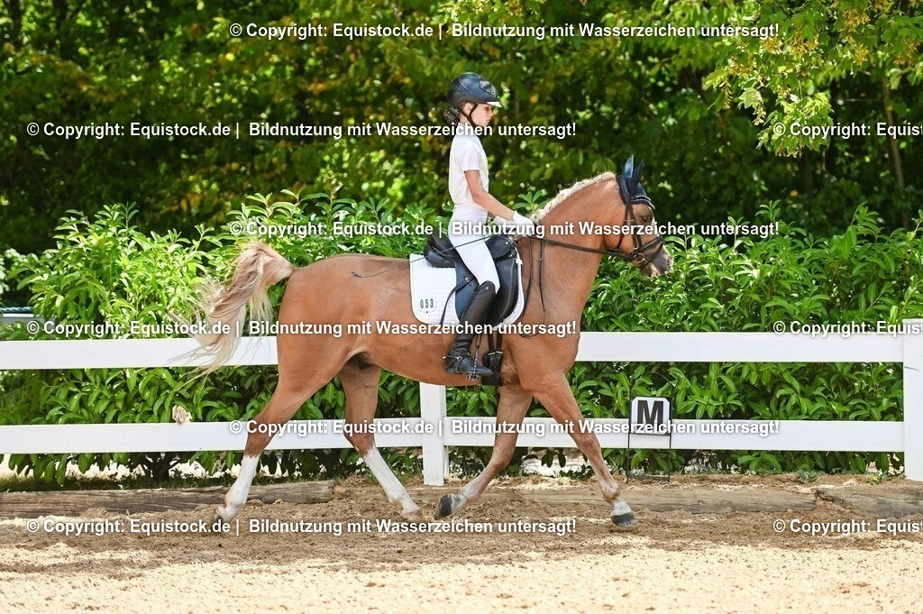 20230715_09_Dressur-WB_0246 | equistock