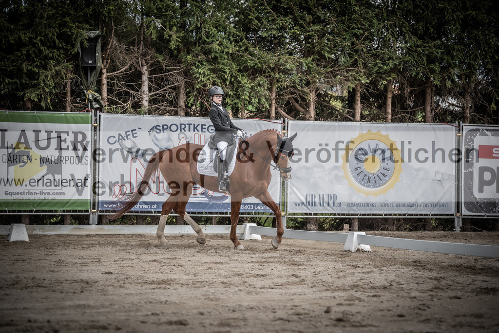 DSC_3234 | equestrian-live-com