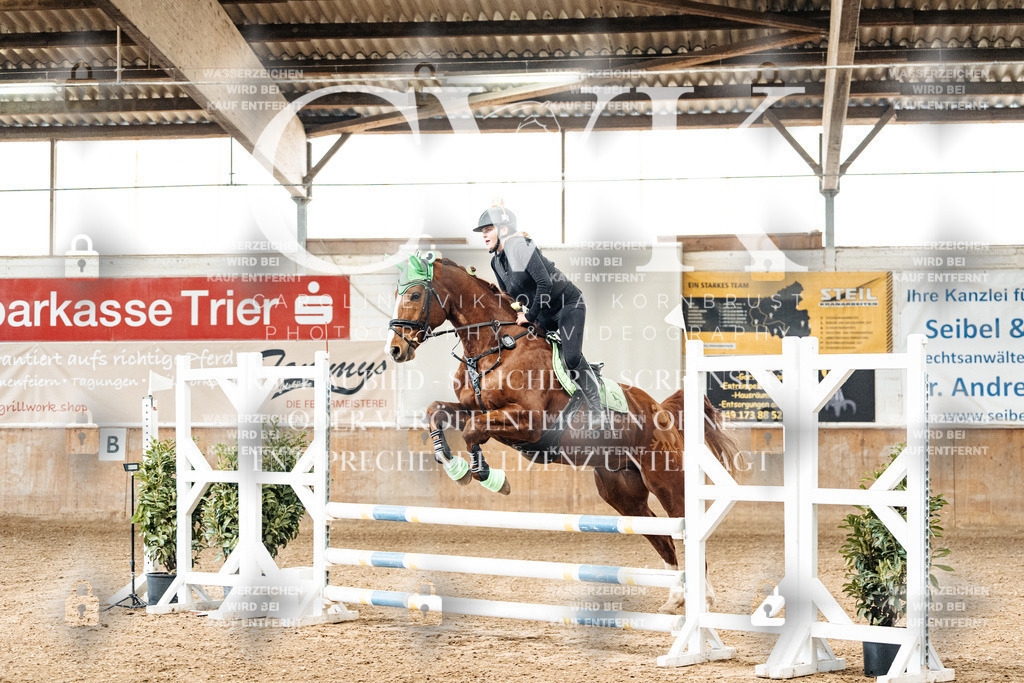 CK905447 | Turnierfotografie Pferdefotografie Trier Rheinland-Pfalz Pferdesport Reitsport Tierfotografie Sportfotografie Pferdevideo Pferdevideografie Equestrianvideography equestrianphotography  - Realized with Pictrs.com