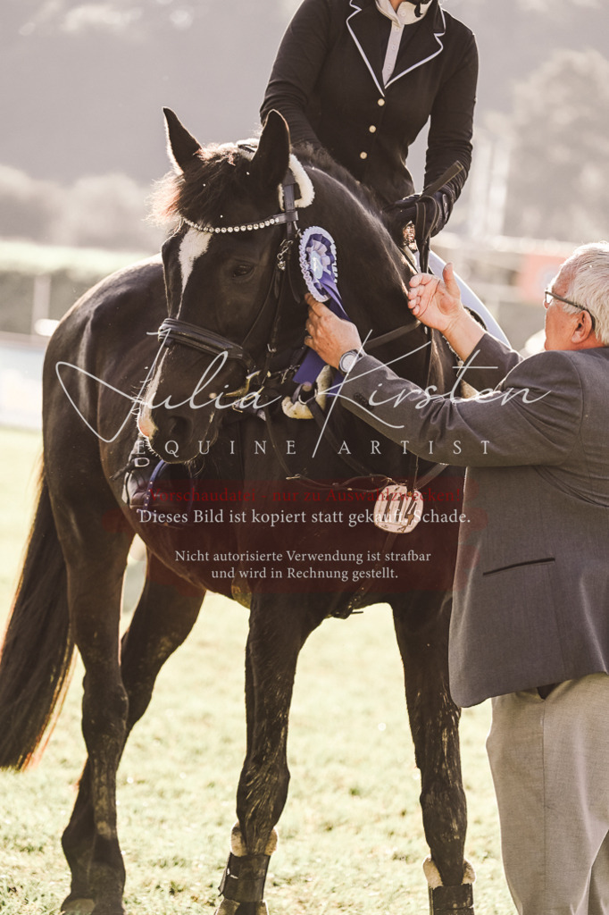 DSC_4560 | Pferde- und Turnierfotografie in Westsachsen. Pferdeportraits, Auftragszeichnungen und intuitive Kunst.