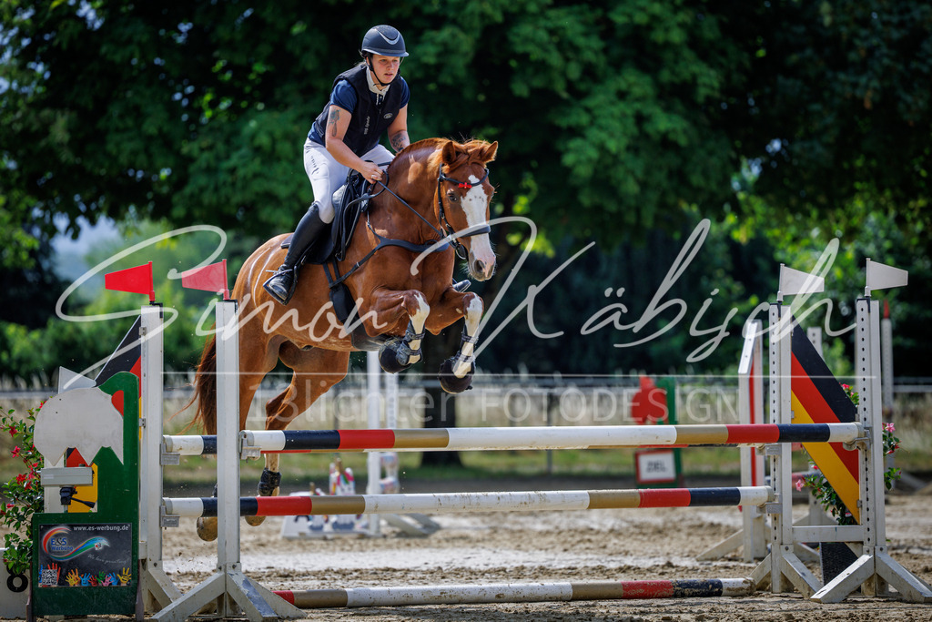 20260705-_3LI4216 | Tierfotografie Pferde, Hunde, Katzen, Haustiere.
Turnierfotografie Reitturniere, Reiten, Springreiten, Dressur in Hanau, dem Main-Kinzig-Kreis und dem Rhein-Main- Gebiet um Frankfurt