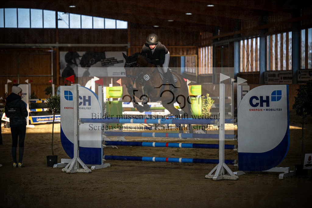 DOS_0132 | Entdecke hochwertige Reitturnierfotos von Foto Oger. Professionell, emotional und authentisch – jetzt Lieblingsmomente im Shop bestellen.Deutschlandweite Turnierfotografie. - Realisiert mit Pictrs.com