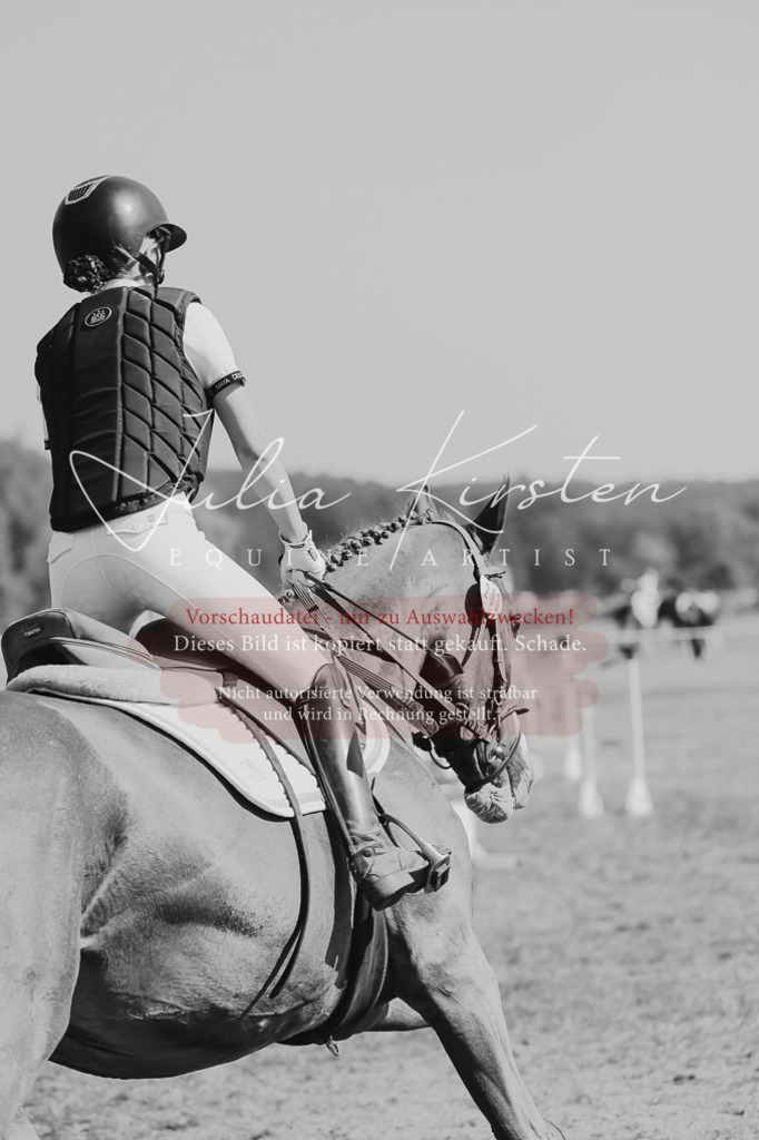 DSC_9529 | Pferde- und Turnierfotografie in Westsachsen. Pferdeportraits, Auftragszeichnungen und intuitive Kunst.