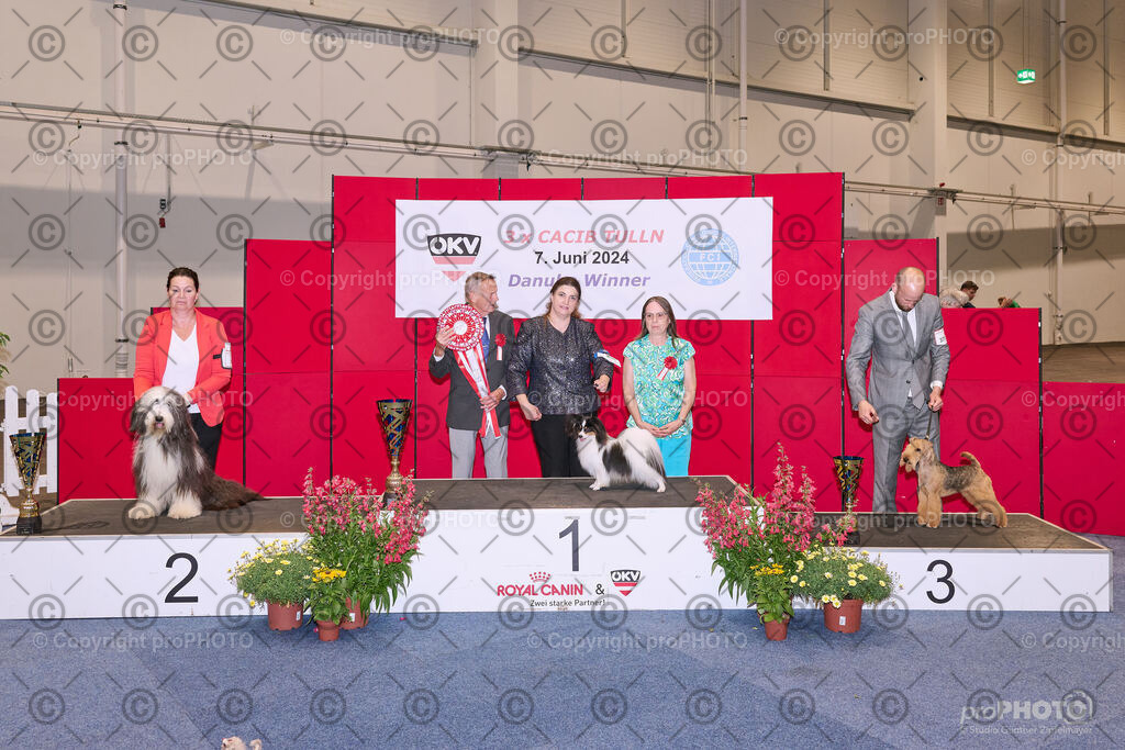 202406_ÖKV-IHA-Tulln24_NZ9_7906 | proPHOTO - Realisiert mit Pictrs.com