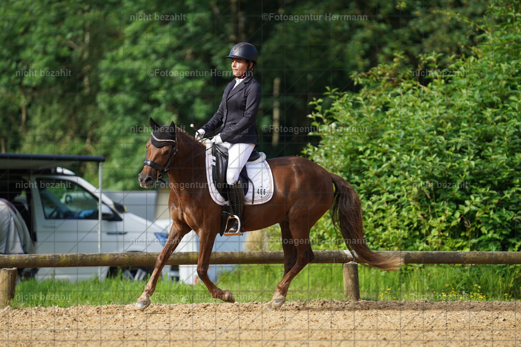 20240706-FAH04396 | Grafing Turnierfotos, Reitverein Ebersberg, Turnierfotografen Bayern, reitsportbilder, Pferdefotograf, reitsportfotograf, Sportbilder, Reitsportfotografie, Fotoagentur Herrmann, Turnierfotograf
