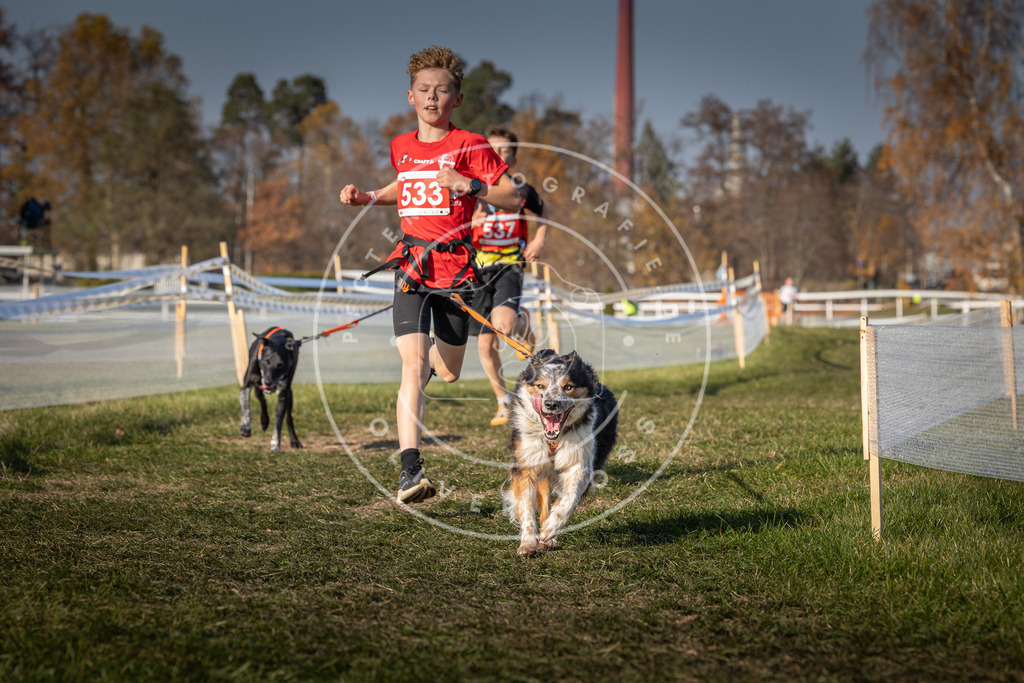 CaniXpix_0L8A8929 | Hundefotografie, Tierfotograf, Pfotenfotografie, Fotoshooting Hund, Hunde Portrait, Hundesport, Hundeportraits, Heideshooting, Hunde, Sportfotograf, Hundefotograf, Turnierhundsport, THS,  - Realisiert mit Pictrs.com