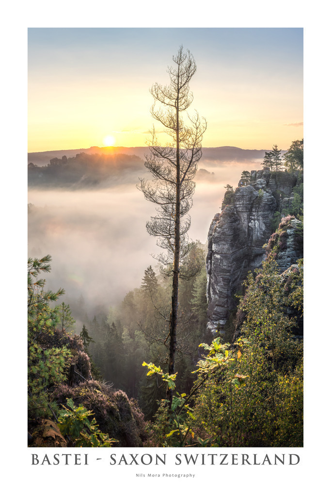 Bastei - Saxon Switzerland | It is not easy to imagine the impressive proportions of these rocks and the tree pictured here if you have not hiked in Saxon Switzerland yourself. But pay attention to the people standing on the viewing platform - they give an approximate sense of the mightiness of these rock formations. - Realisiert mit Pictrs.com