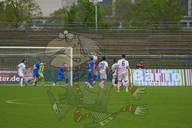 BFC Dynamo vs. VSG Altglienicke 084 | mythos-online-redaktion