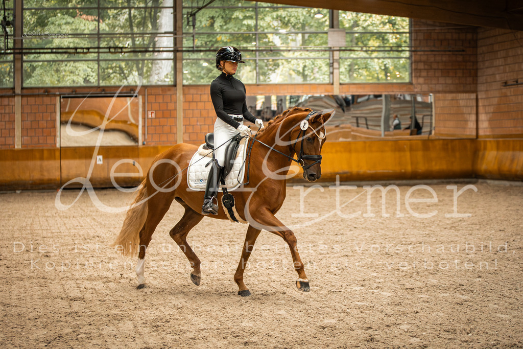 1Reiten00126 | Leoni Ertmer Photography - Realisiert mit Pictrs.com