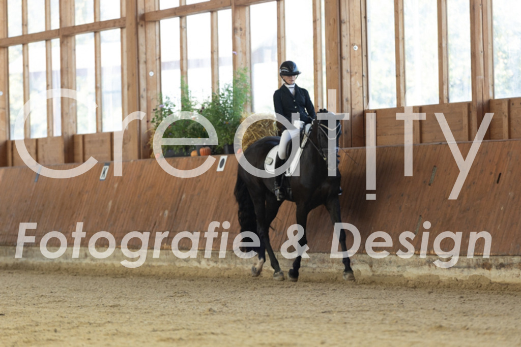 IMG_9469 | Creatify Fotografie