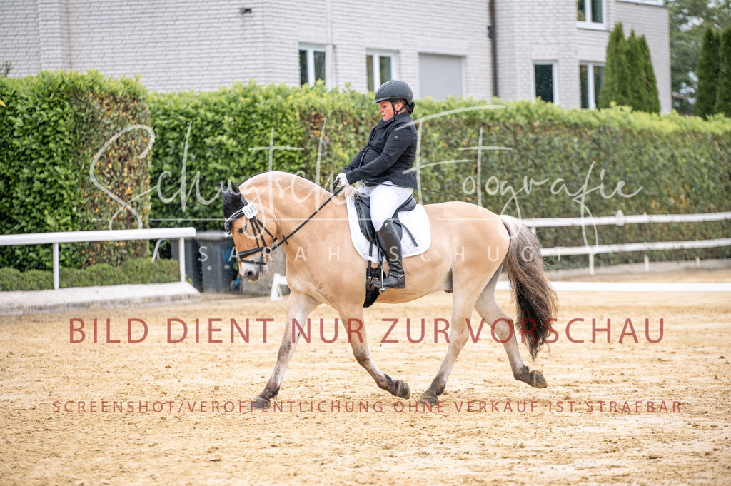 Schugtsche-Aluta25-41.Amat-Dressurprf.A_-214 | Schugtsche Fotografie - Realisiert mit Pictrs.com